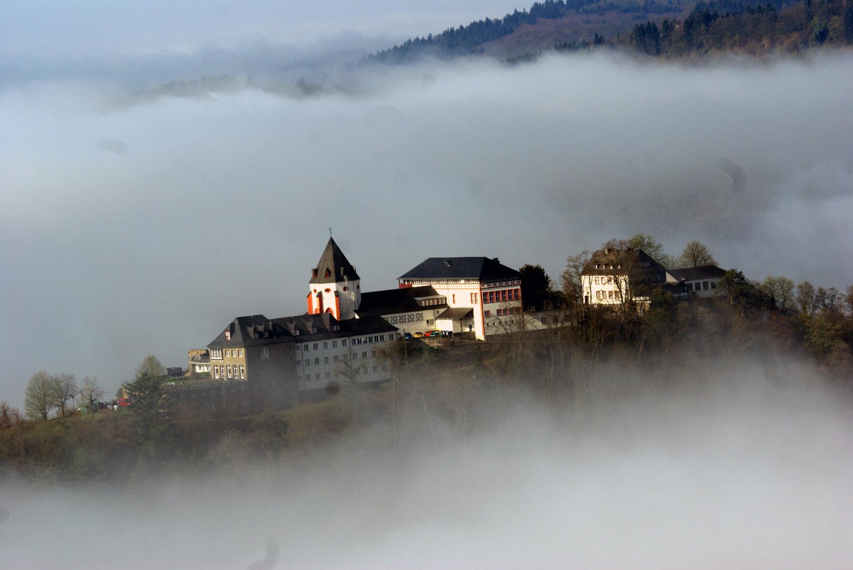 Marienburg im Nebel