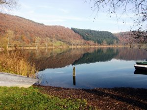 Meerfelder Maar 2011