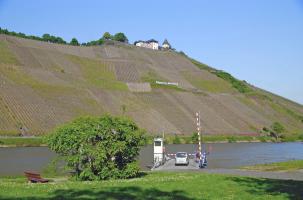 Fähre mit Marienburg