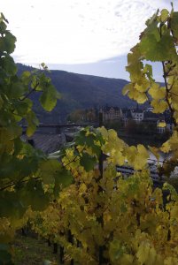 Blick auf Bernkastel