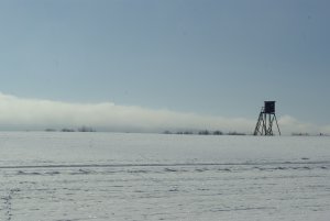 Hochsitz bei Horbruch