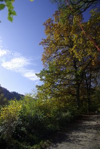 Richtung Eiserne Weinkarte