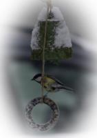 Winterfutter