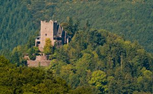 Burg Arras im Herbst