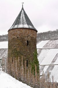 Eulenturm Briedel im Winter