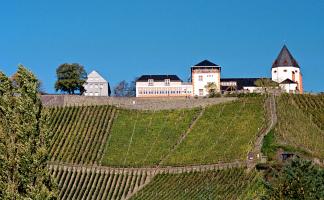 Marienburg mit Weinhang
