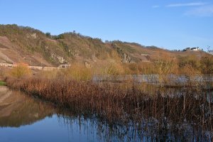 Moselhochwasser