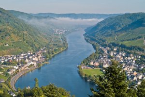Nebel im Moseltal bei Neef