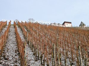 Pündericher Marienburg