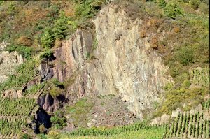 Schieferfelsen mit Weinberg