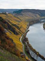 Weinbergshang Marienburg im Herbst