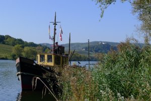 Am Moselufer in Zell-Merl