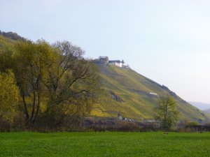 Marienburg mit Moselufer im Herbst