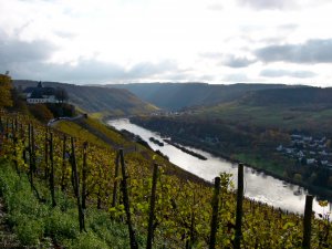 Marienburg und Mosel im Herbst