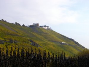 Marienburg_Weinhang im Herbst