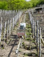 Monorackbahn im Weinberg