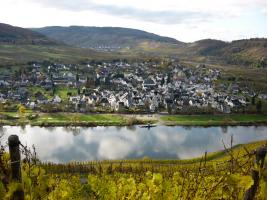 Pünderich im Herbst