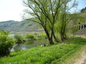 Sommeridylle bei Pünderich