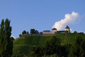 Sommerliche Marienburg