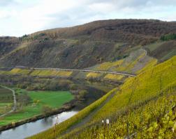 Weinberg und Hangviadukt im Herbst_Querformat