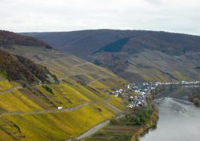 Zell-Merl im Herbst