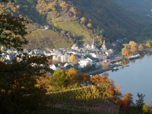 Alf-Mosel im Herbst