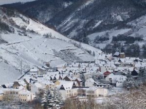 Alf-Mosel im Winter