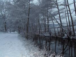 Bachuferweg Heusack im Winter bei Alf 2