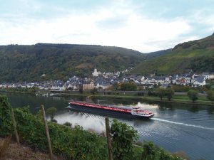 Blick über die Mosel nach Briedel