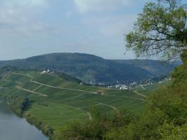 Blick vom Uhusteig Briedel auf Alf, Bullay, Marienburg