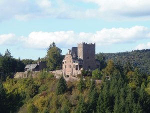Burg Arras, Alf-Mosel 3