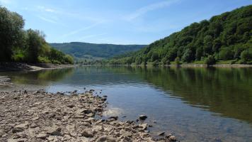 Niedrigwasser bei Mesenich 2015 (2)