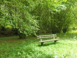 Ruhebank im Linnichbachtal, Nähe Bad Bertrich