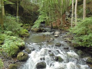 Strohner Schweiz, Alfbach