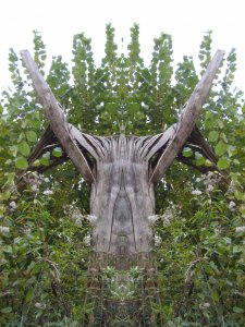 Walgeist, noch eine Figur im Kondelwald