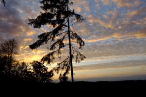 Abend auf den Moselbergen