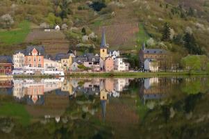 Alf-Mosel gespiegelt