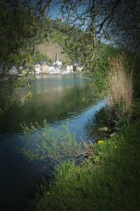 Alf im Dornröschenschlaf