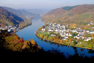 Alf und Bullay in Herbstfarben