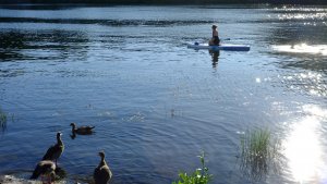 Am, auf und im Wasser