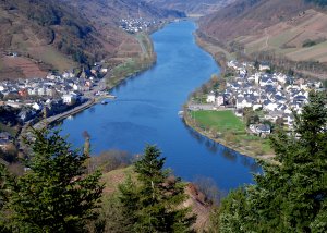 Blaues Band zwischen Alf und Bullay