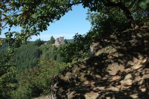 Blick auf Burg Arras