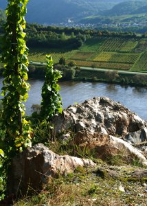 Blick von Merl nach Briedel
