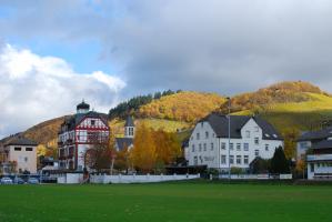 Bullay ehemalige Weinbauschule und Grundschule