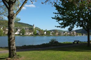 Bullay im Frühsommer