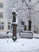 Bullayer Braut im Schnee