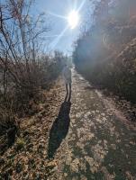 Der Sonne entgegen 2