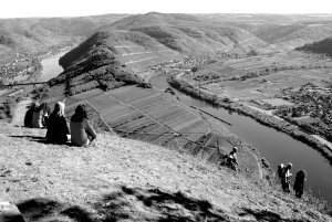 Erlebniswelt Mosel