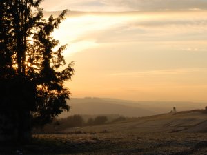 Felder bei Peterswald-Löffelscheid