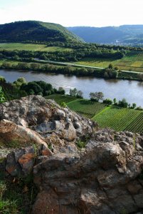Felsbrocken bei Merl